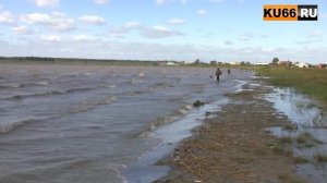 На Червяном всплыла мертвая рыба