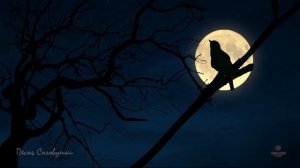 Красиво поет соловей ночью в лесу слушать 1 час ? Божественные чарующие звуки пения птиц для души