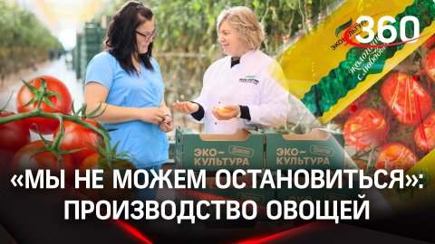«Благодаря санкциям, Подмосковье вышло на второе место по выращиванию овощей»: Андрей Воробьев