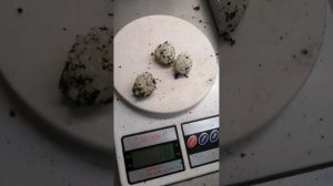 Сколько Улиток в одном Коконе икры? | Улиточная ферма Беларусь | Улитки Максима и Мюллер