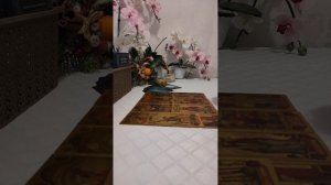 ?ЧЕМ ЗАКОНЧИТСЯ МОЛЧАНИЕ???? ПАУЗА ЭТО ИЛИ КОНЕЦ ОТНОШЕНИЙ??????????