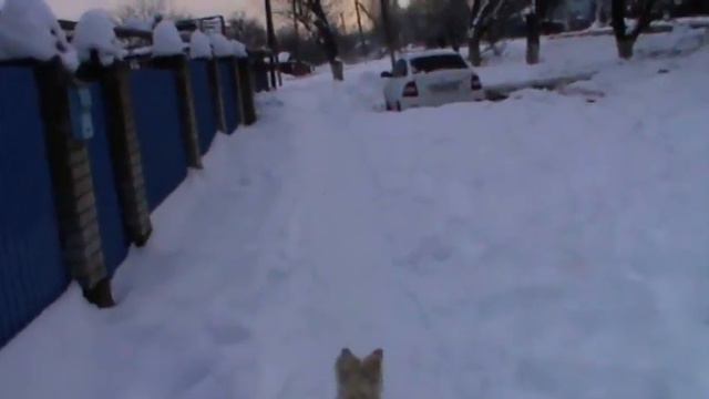 Руки ноги целы!Пойдём покупать коньки. Раевская смотреть онлайн