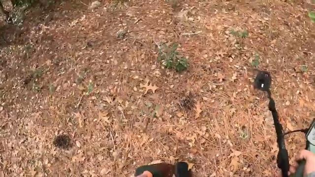 LIVE Metal Detecting in the WOODS! | Minelab X-TERRA PRO V8X Coil! смотреть онлайн