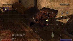 ПЕЙ ДО ДНА | Готика 2: Ночь Ворона | Gothic 2: Night of the Raven #21