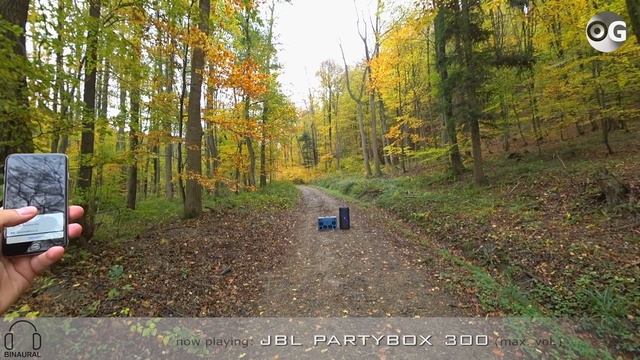 DIAMONDBOXX L2 vs JBL PartyBox outdoor sound test смотреть онлайн