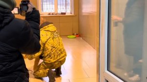Сегодня закончился карантин! Асада ждет Шерхана. Тайган