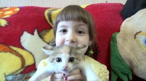 Танцующий Кот