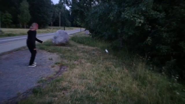 "Охота" на зайца| ручной заяц| животные природы. смотреть онлайн