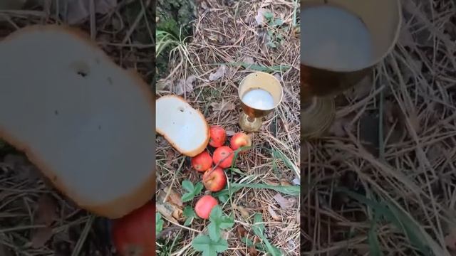 Вызываю Лешего. СИЛЬНЫЙ ритуал на денежный достаток