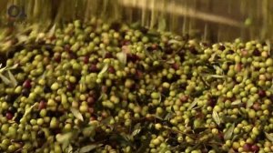 The Spanish Pantry: Extra Virgin Olive Oil