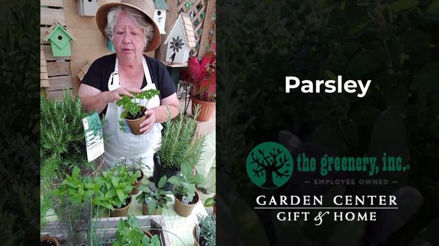 The Greenery - HERB GARDENING смотреть онлайн