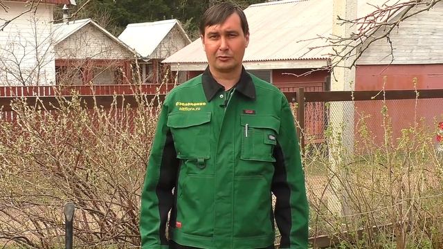 Чем, когда и как подкормить плодовые деревья и кустарники смотреть онлайн