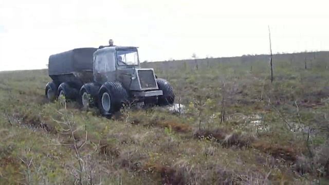 Вездеход 8х8 Соломономобиль-5, по Васюганскому болоту смотреть онлайн