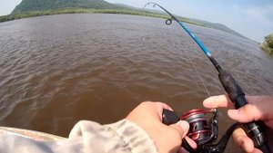 В поисках хищника! Рыбалка на реке Амур