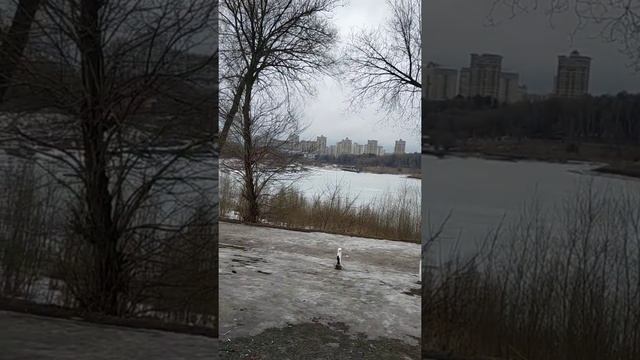 город Раменское.!!!!