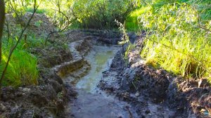 Копаю пруд на даче своими руками