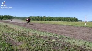 Скачки