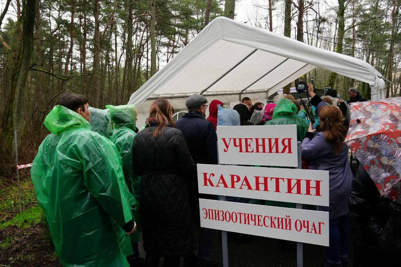 Командно-штабные учения ветеринарных служб СЗФО в Калининградской области