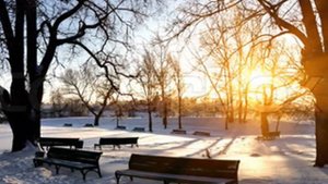 КОГДА ПАДАЮТ ЛИСТЬЯ - Яна Грей- Довоенное Русское Танго --Русский романс-Yana Gray