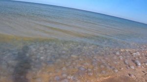 Крым  Казантип Осенняя рыбалка на кефаль