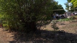 «Тарих излери» Выпуск: 25.09.2022 Березовка