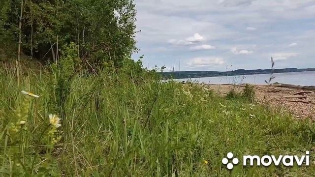 Пермский край//Добрянский район//с.Красная Слудка//Река Чусовая ( 9 июня 2023г.)