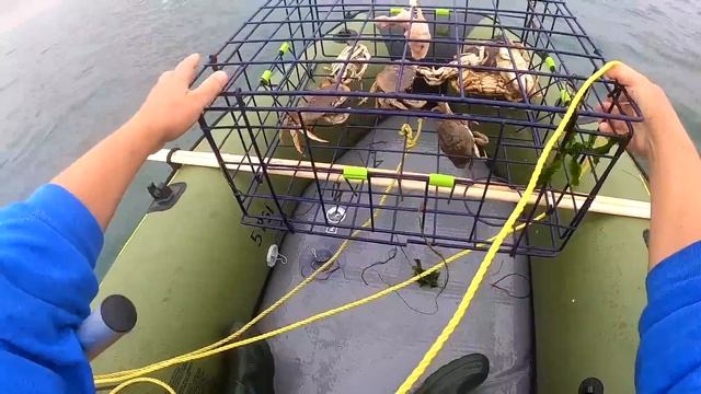 КРАБАЛКА НА САМЫЙ ВКУСНЫЙ КРАБ В США ! РЕЦЕПТ КОТЛЕТ ИЗ КРАБОВ. DUNGENESS CRAB.