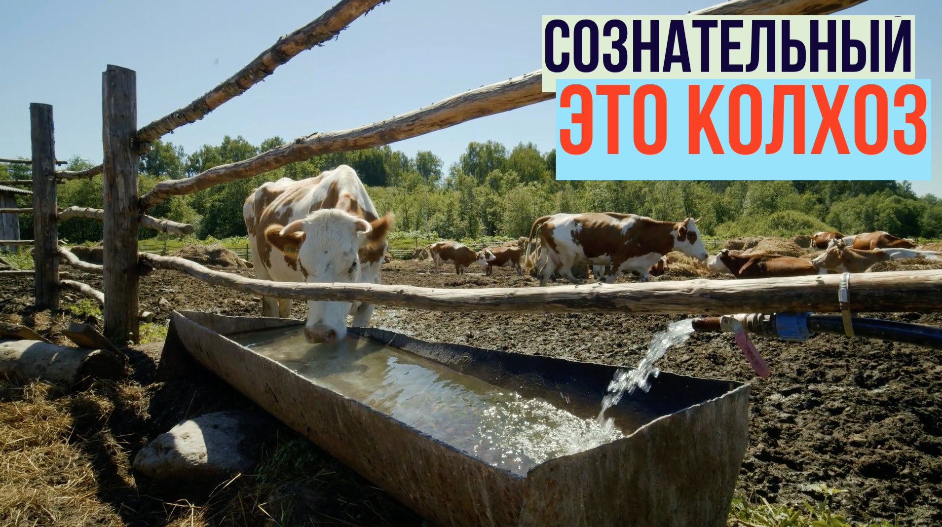 Осколок СССР. Колхоз Сознательный. Какой? Сознательный.