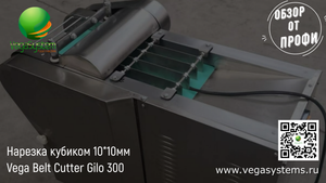 Машина для нарезки рыбы, мяса, курицы на кубик 10*10мм Vega Belt Cutter Gilo 300 | Обзор от профи