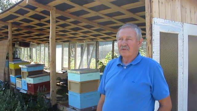 В гостях у пчеловода изобретателя  А  Василенко «Удобный навес для пчёл» 1 часть смотреть онлайн
