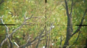 КХ Ночные и Дневные рейды по чайкам 2023 г ,"Чайковский часть 2" от Камрада "Unpleasant "Crowhuntin
