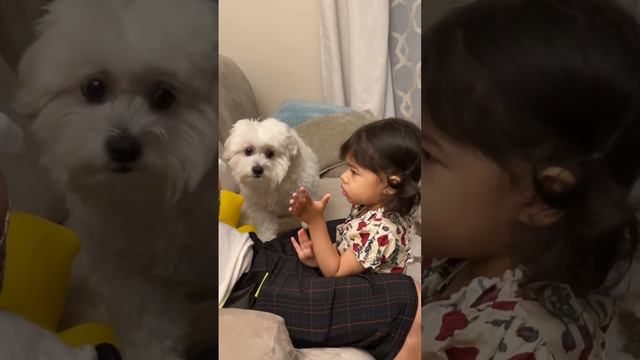 Anything you eat, Bubble wants 😂 смотреть онлайн