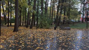 Осенняя прогулка по Светлогорску Калининградская область