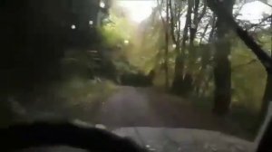 Polyushko Polye by Varg Vikernes  Полюшко Поле- Варга Викернеса