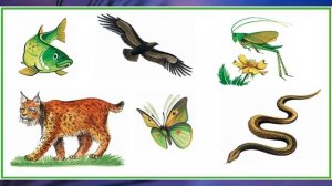 "Жизнь животных", Окружающий мир 1 класс, с.86-89, Планета знаний.mp4