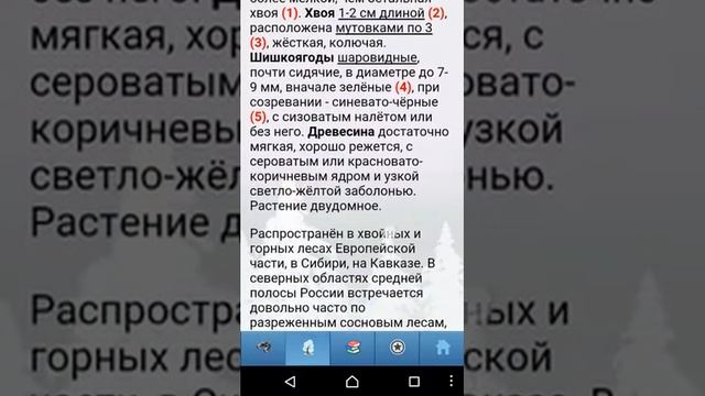 ЭкоГид: Определитель деревьев и кустарников в зимний период