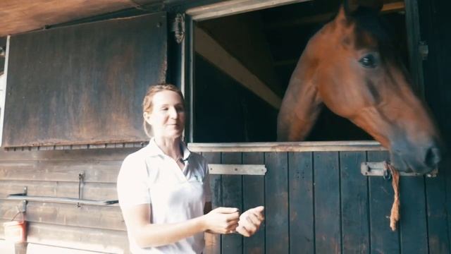 Camilla Kruger, Team Zim Olympian | Why she uses the Haygain Hay Steamer смотреть онлайн