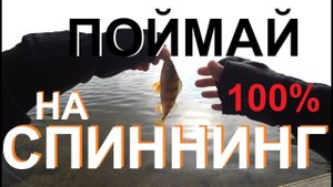 Как поймать рыбу на спиннинг новичку 100%. От "А" до "Я"