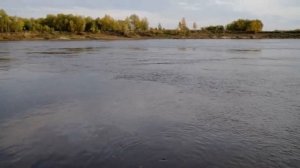 Место ловли нельмы