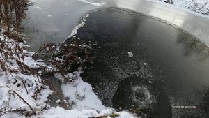 Теперь кислорода рыбе в пруду хватит. Запустил на зиму компрессор