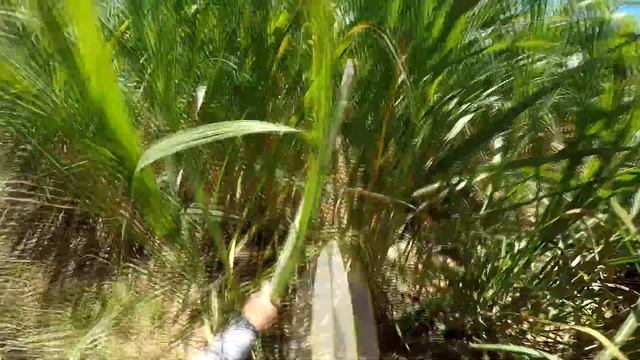 Serra Sabre DCS380B à Bateria 20V MAX DeWalt - Review