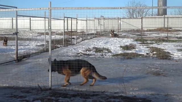 Экологичность активно поддерживает региональный оператор Экопол