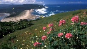 Пусть у Вас всё будет хорошо