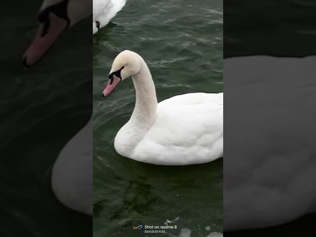 3 февраля 2023 г. смотреть онлайн