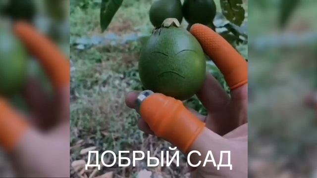 Силиконовый садовый нож на палец