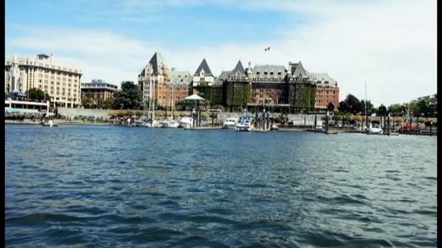 Happy hippo tour смотреть онлайн