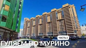 ПРОГУЛКА ПО МУРИНО ДЕВЯТКИНО САНКТ-ПЕТЕРБУРГ часть 2