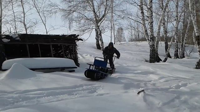 мотособака