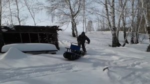 мотособака