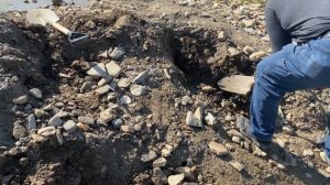 Золото на Аляске | gold penny Alaska | @golddaughters